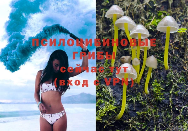 кокаин Богородицк