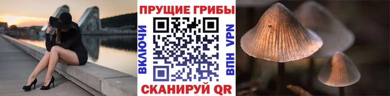 Псилоцибиновые грибы Magic Shrooms Купить где Верхотурье